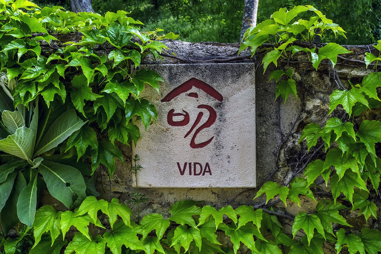 20180523_Jardin Miguel Delibes Kanjis Vida_KAM9343b